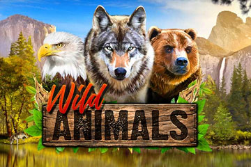 Wild Animals