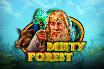 Misty Forest