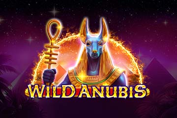 Wild Anubis