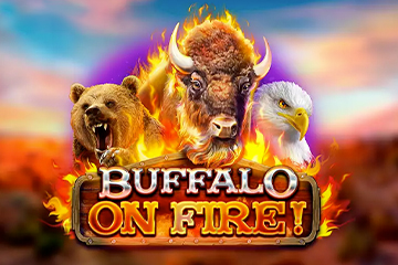 Buffalo On Fire