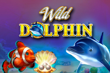 Wild Dolphin