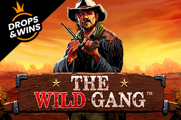 The Wild Gang