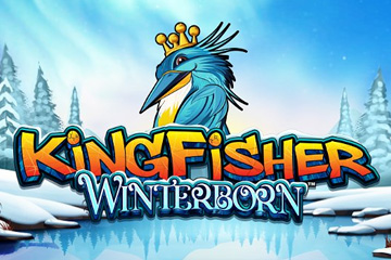Kingfisher Winterborn
